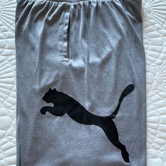 Puma Shorts - Boys Size L (14-16) - Picture 9 of 12